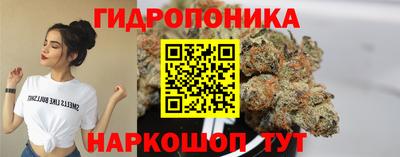 гидра Рязань